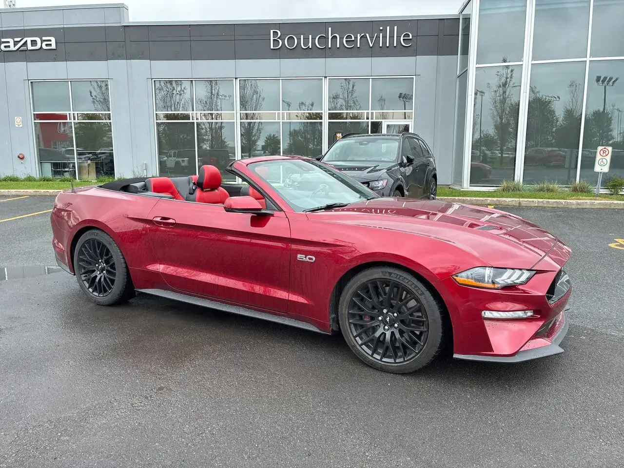 2019 Ford Mustang
