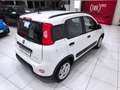 Fiat Panda 1.0 FireFly S&S Hybrid City Life *19.000 KM* Weiß - thumbnail 18