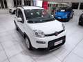 Fiat Panda 1.0 FireFly S&S Hybrid City Life *19.000 KM* Bianco - thumbnail 1