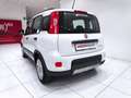 Fiat Panda 1.0 FireFly S&S Hybrid City Life *19.000 KM* Weiß - thumbnail 16