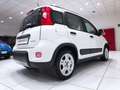 Fiat Panda 1.0 FireFly S&S Hybrid City Life *19.000 KM* Weiß - thumbnail 19