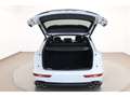 Audi SQ5 3.0 TDI quattro Weiß - thumbnail 12