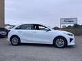 Kia Ceed / cee'd 1.0 T-GDI Eco-Dynamics Business 120 Blanco - thumbnail 11