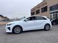 Kia Ceed / cee'd 1.0 T-GDI Eco-Dynamics Business 120 Blanco - thumbnail 10
