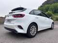 Kia Ceed / cee'd 1.0 T-GDI Eco-Dynamics Business 120 Blanco - thumbnail 6