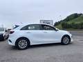 Kia Ceed / cee'd 1.0 T-GDI Eco-Dynamics Business 120 Blanco - thumbnail 12
