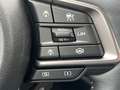 Subaru OUTBACK Outback 2.5i Exclusive Cross Jagdverband/Versehrte Vert - thumbnail 22