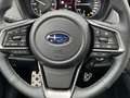 Subaru OUTBACK Outback 2.5i Exclusive Cross Jagdverband/Versehrte Vert - thumbnail 11
