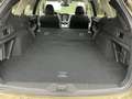 Subaru OUTBACK Outback 2.5i Exclusive Cross Jagdverband/Versehrte Vert - thumbnail 15