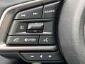 Subaru OUTBACK Outback 2.5i Exclusive Cross Jagdverband/Versehrte Vert - thumbnail 23