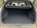 Subaru OUTBACK Outback 2.5i Exclusive Cross Jagdverband/Versehrte Vert - thumbnail 14