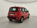 Fiat Panda Panda 1.2 easypower Gpl PREZZO SENZA VINCOLI!!! Rouge - thumbnail 4