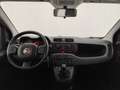 Fiat Panda Panda 1.2 easypower Gpl PREZZO SENZA VINCOLI!!! Rouge - thumbnail 12