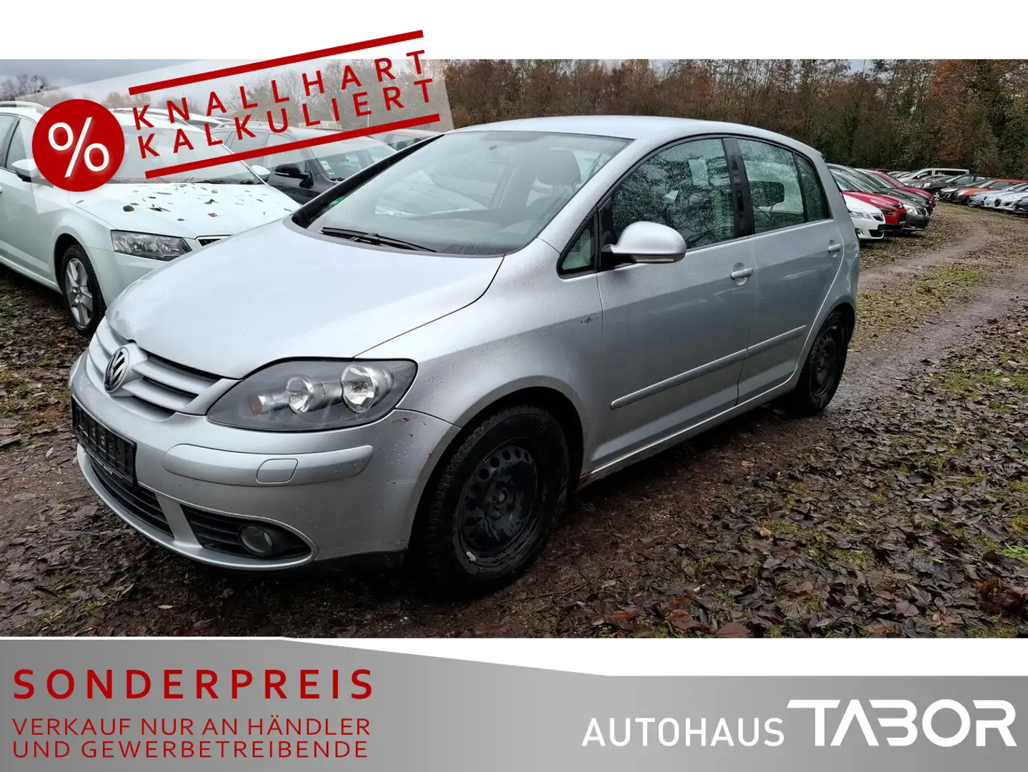 Volkswagen Golf Plus Plus 1.9 TDI Tour Klimaaut. AHK SHZ PDC GRA Silber - 1