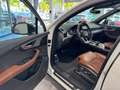 Audi Q7 3.0 TDI quattro S Line+ PANO/AHK/LED/MMI/TOP! Blanc - thumbnail 14