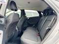 Ford Puma 1.0 ecoboost h Titanium X 125cv Grau - thumbnail 9