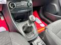 Ford Puma 1.0 ecoboost h Titanium X 125cv Grau - thumbnail 14