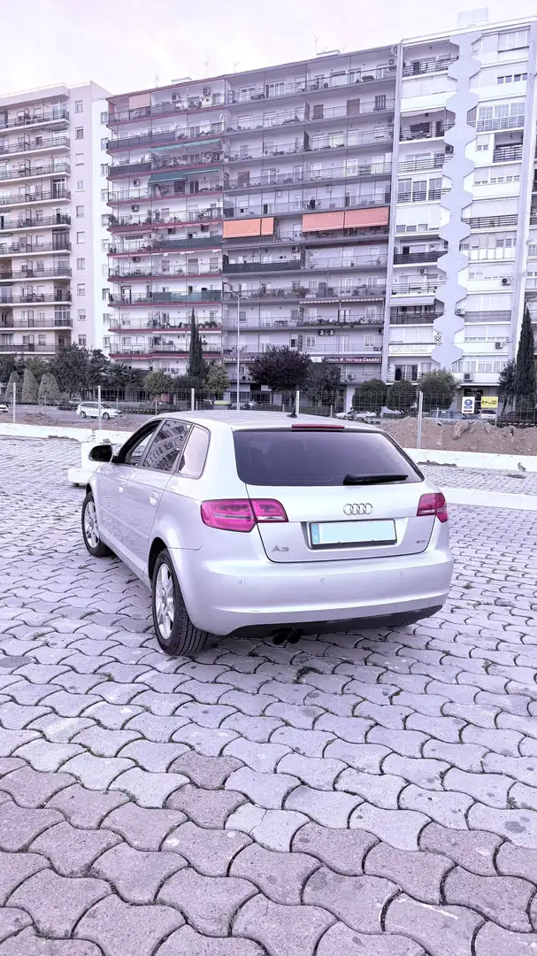 Audi A3 Sportback 1.9TDI Ambition DPF - 2