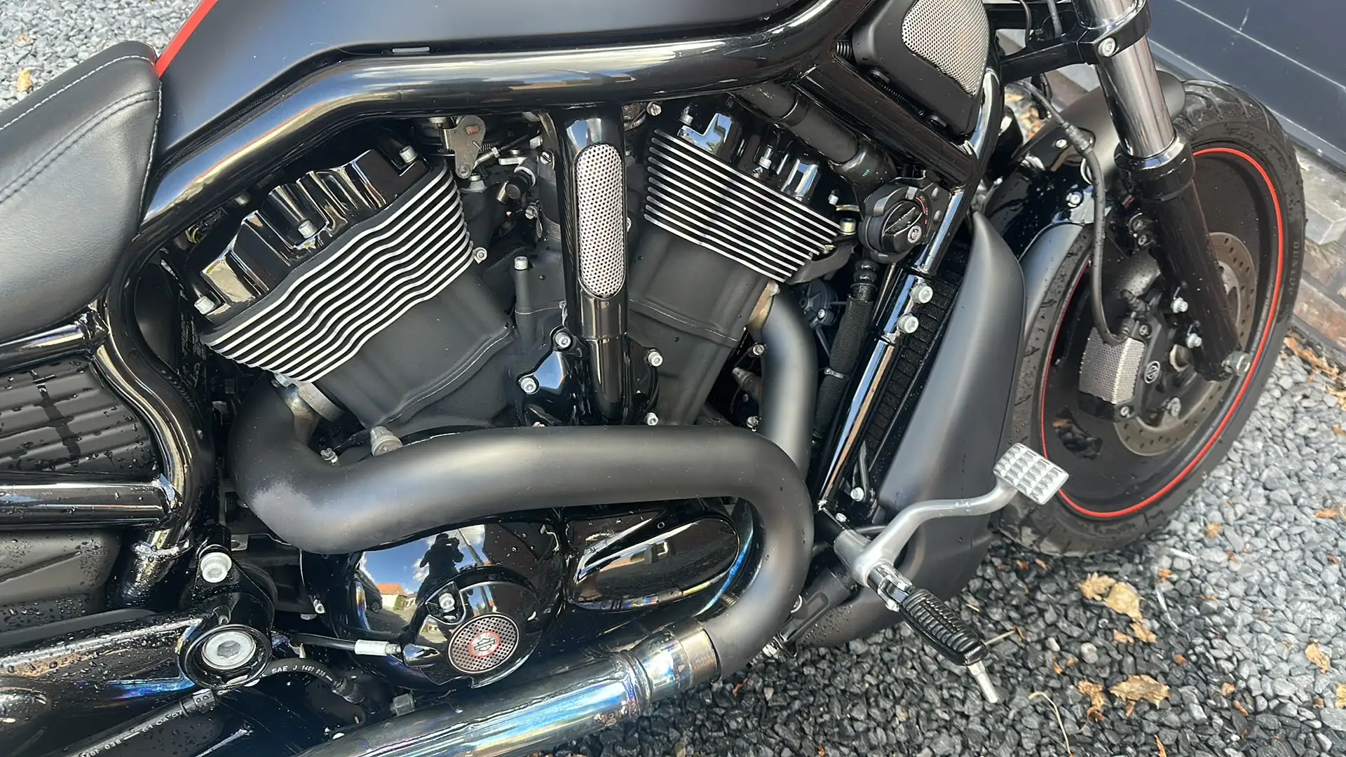 Harley-Davidson VRSC Night Rod Night rod Special - 2