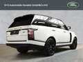Land Rover Range Rover Autobiography Weiß - thumbnail 2