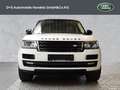 Land Rover Range Rover Autobiography Weiß - thumbnail 8