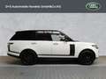 Land Rover Range Rover Autobiography Weiß - thumbnail 6