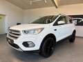 Ford Kuga 2.0 TDCi Navi SHZ + LHZ Weiß - thumbnail 3