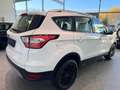 Ford Kuga 2.0 TDCi Navi SHZ + LHZ Blanc - thumbnail 7