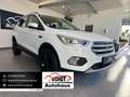 Ford Kuga 2.0 TDCi Navi SHZ + LHZ Blanc - thumbnail 1