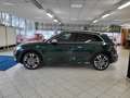 Audi SQ5 SQ5 3.0 tfsi quattro 354cv tiptronic Verde - thumbnail 3