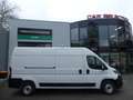 Fiat Ducato 35 L3H2 140 Multijet Hochdach ACC/KLIMAAUTO Weiß - thumbnail 14
