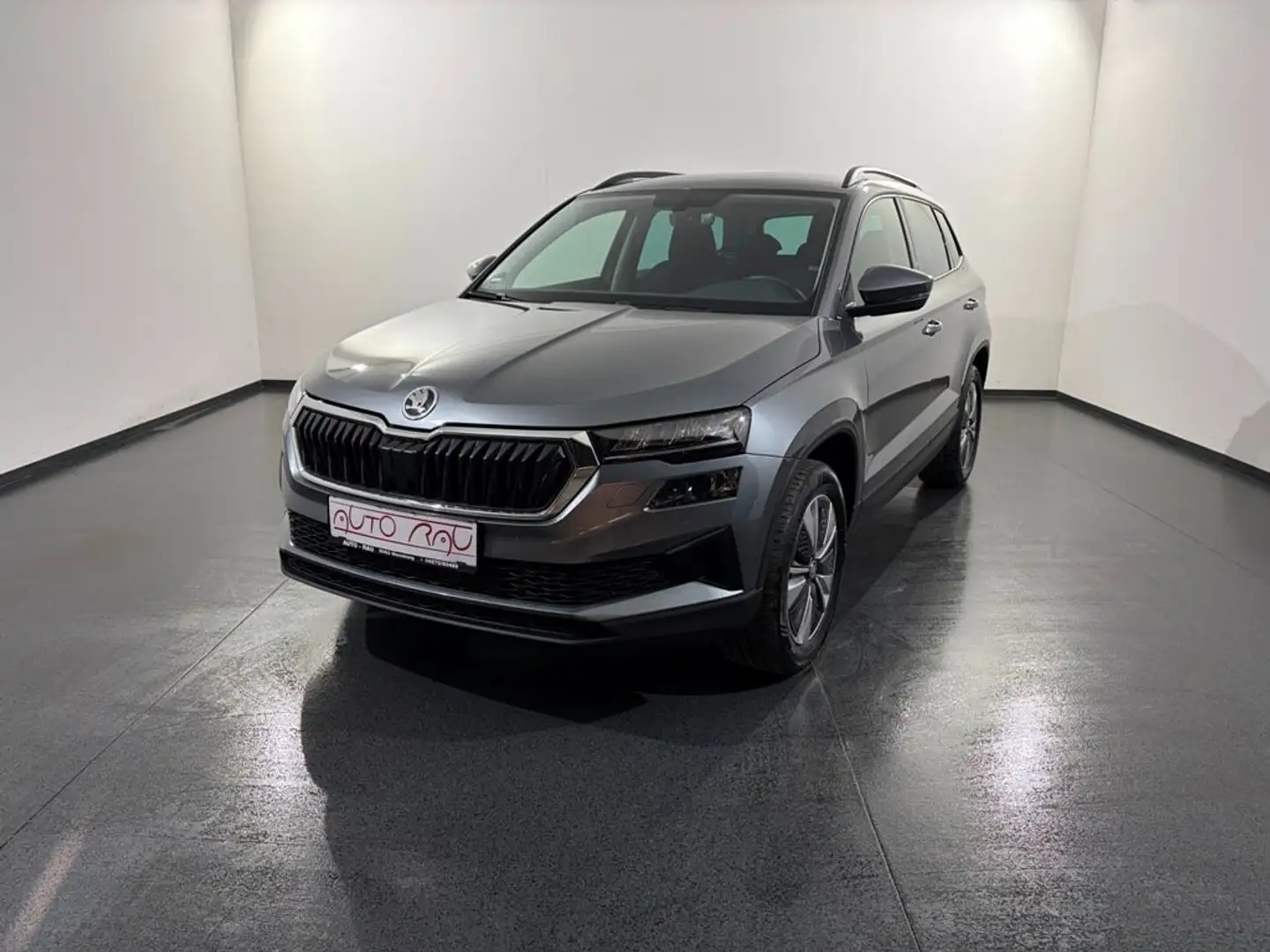 Skoda Karoq 2.0 TDI Ambition 4x4 DSG *AHK*LED*RFK* Grau - 2