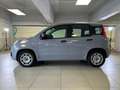 Fiat Panda 1.2 69cv S&S E6d-Temp Easy Grigio - thumbnail 2