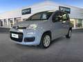 Fiat Panda 1.2 69cv S&S E6d-Temp Easy Grigio - thumbnail 1