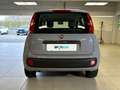 Fiat Panda 1.2 69cv S&S E6d-Temp Easy Grigio - thumbnail 4