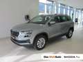 Skoda Karoq 4x4 Selection TDI DSG Silber - thumbnail 1