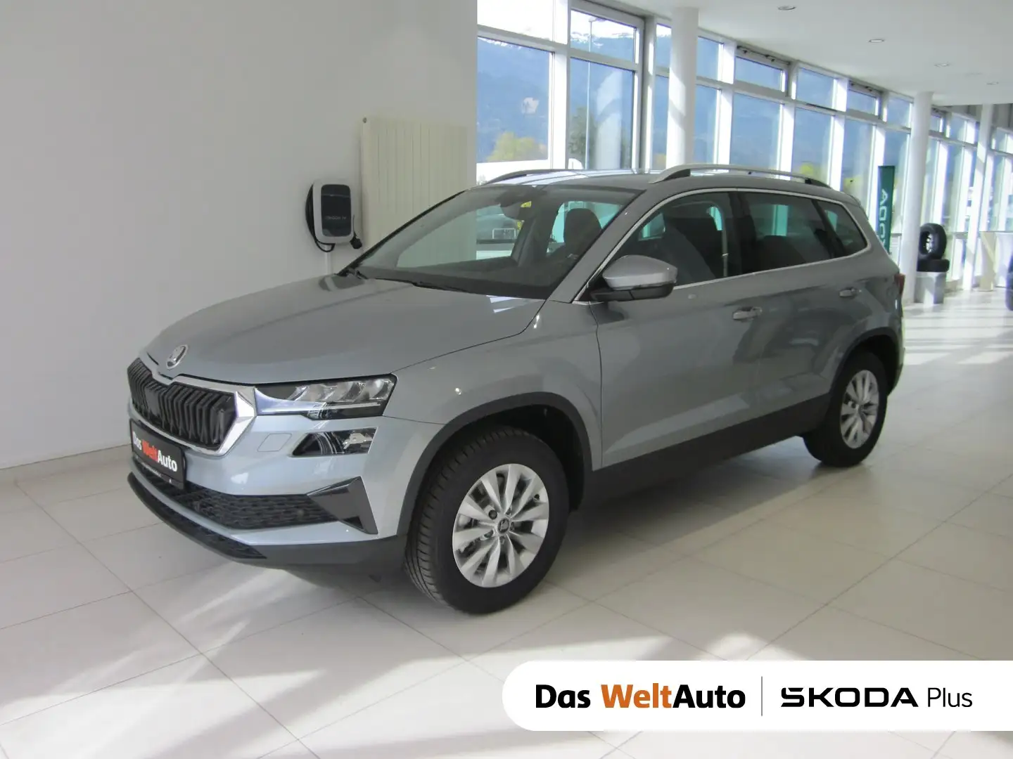 Skoda Karoq 4x4 Selection TDI DSG Silber - 1