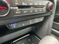 Kia Ceed / cee'd Ceed Platinum 1.5 T-GDI Auto Kombi Glasdach Wit - thumbnail 24