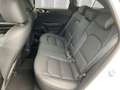 Kia Ceed / cee'd Ceed Platinum 1.5 T-GDI Auto Kombi Glasdach Blanc - thumbnail 9