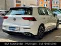 Volkswagen Golf VIII 1.5 TSI Lim. R-Line LED|ACC|AHK|LHZ Weiß - thumbnail 5