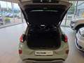 Ford Puma ST-Line X Ganzjahresreifen AHK-abnehmbar Adaptive Grau - thumbnail 8