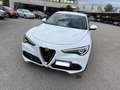 Alfa Romeo Stelvio Stelvio 2.2 t Business rwd 190cv auto my19 Blanc - thumbnail 1