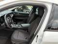 Alfa Romeo Stelvio Stelvio 2.2 t Business rwd 190cv auto my19 Blanc - thumbnail 11