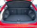 Volkswagen T-Roc 1.5 TSI Goal LED/ACC/Navi/2xPDC/Alarm Rot - thumbnail 9