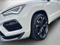 CUPRA Ateca 2.0 TSI 4Drive DSG *Beats*ACC* Weiß - thumbnail 4