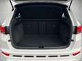 CUPRA Ateca 2.0 TSI 4Drive DSG *Beats*ACC* Weiß - thumbnail 5