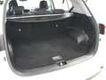 Kia Sportage Sportage 1.6 crdi mhev Business  2wd 136cv dct Blanc - thumbnail 27
