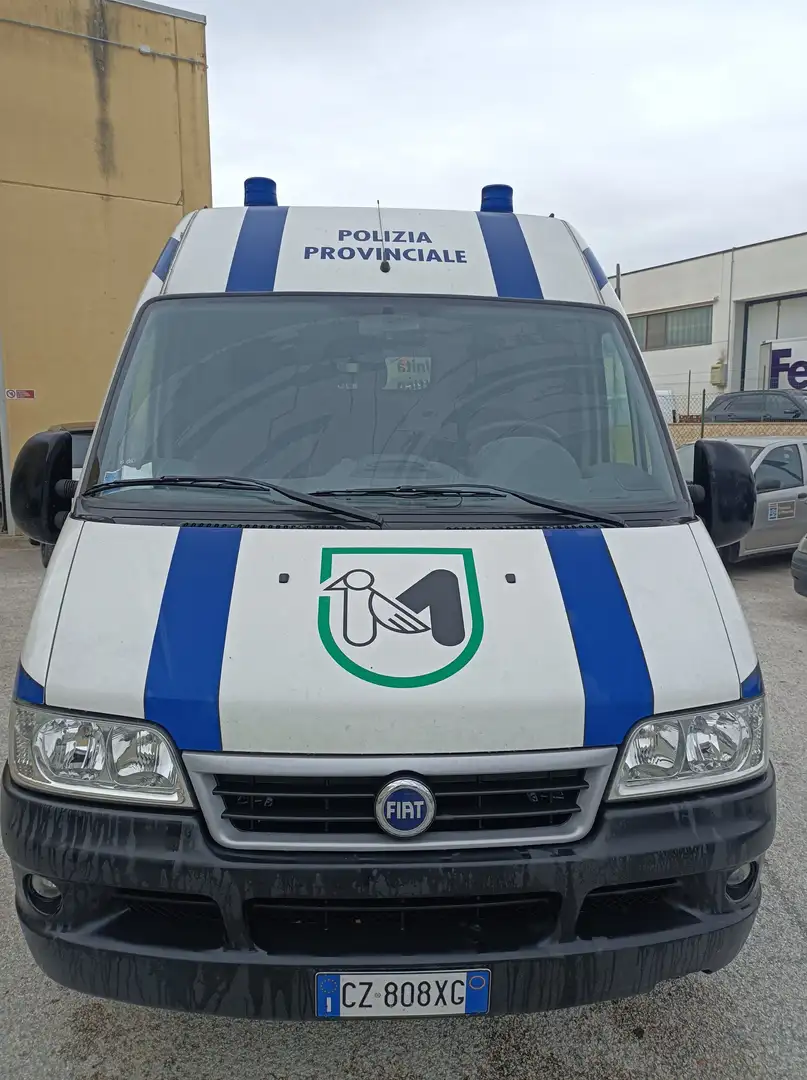 Fiat Ducato Maxi Dangel 4x4 Bianco - 1