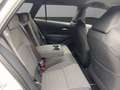 Toyota Corolla Touring Sports Teamplayer 1,8 Hybrid Weiß - thumbnail 18