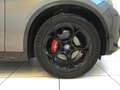 Alfa Romeo Stelvio Stelvio 2.2 Turbodiesel 210 CV AT8 Q4 Veloce MY24 Gris - thumbnail 8